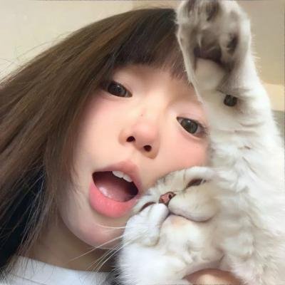 羊羔